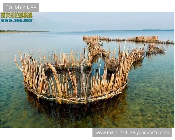 聖卢西亚环保长跑活动盛大举行，圣卢西亚湿地公园